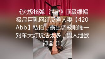 《究极核弹✅泄密》顶级绿帽极品巨乳网红反差人妻【420Abb】私拍，露出调教啪啪一对车大灯玩法太多，男人泄欲神器 (1)