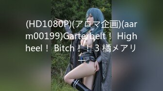 (HD1080P)(アロマ企画)(aarm00199)Garterbelt！ Highheel！ Bitch！！ 3 橘メアリー