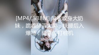 Onlyfans纹身熟女Snowwhitesfairytales合集【198V】 (57)