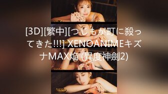 [3D][繁中][つじもが町に殺ってきた!!!] XENOANIMEキズナMAX焔 (異度神劍2)